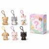 Collectible keychain charms blind box set